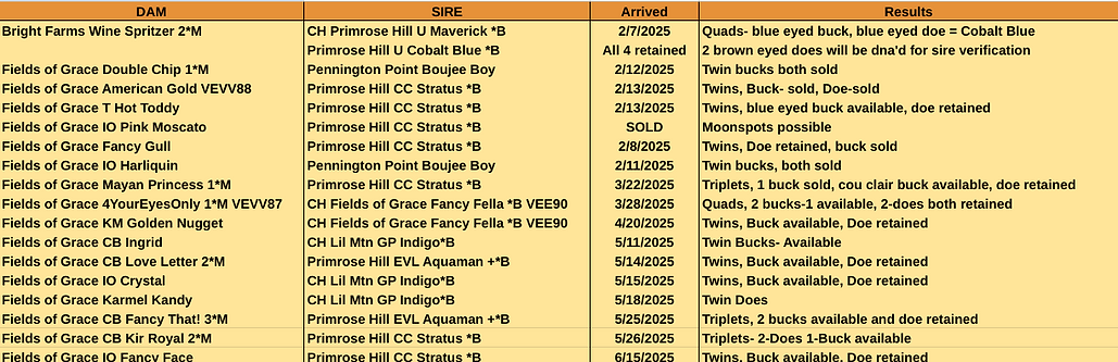 Screenshot 2025-06-17 9.07.58 PM (1).png