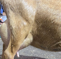 20250615_103643 (1).jpg