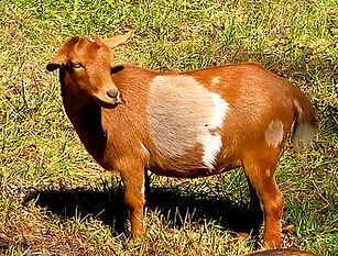 20251004_134311 (2).jpg