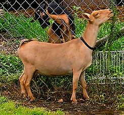 20250803_144016 (1).jpg