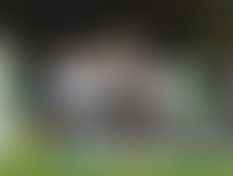 Alemania e Inglaterra van a Rusia