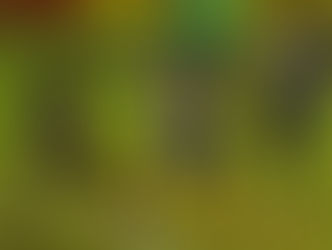 EN BUSCA DE RECUPERAR EL NIVEL