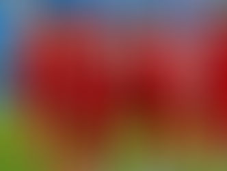 Fiesta completa para Rusia en San Petersburgo