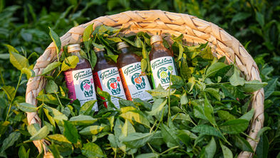 Teakina - Documentary Film