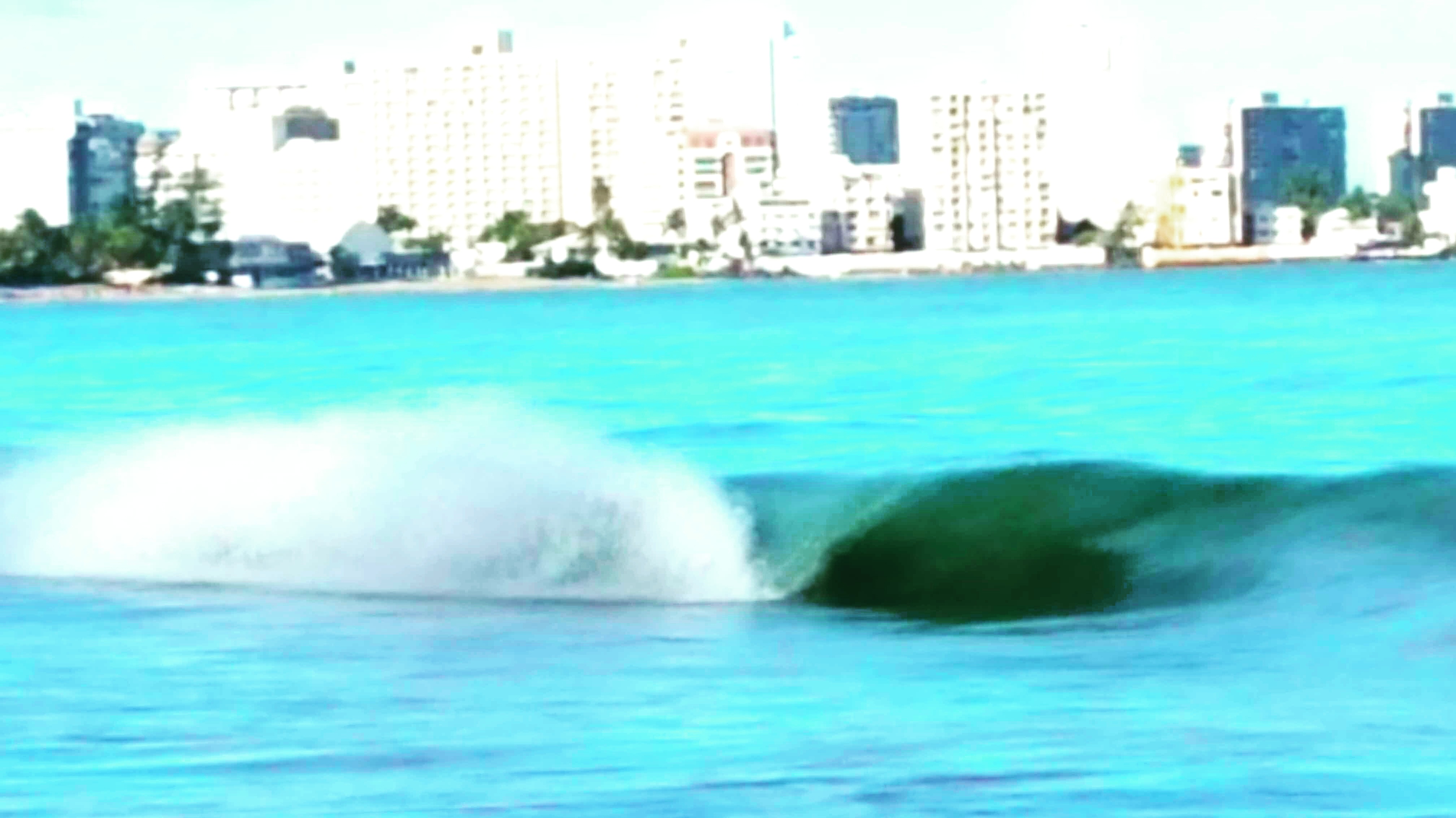 Gallery From Pine Grove