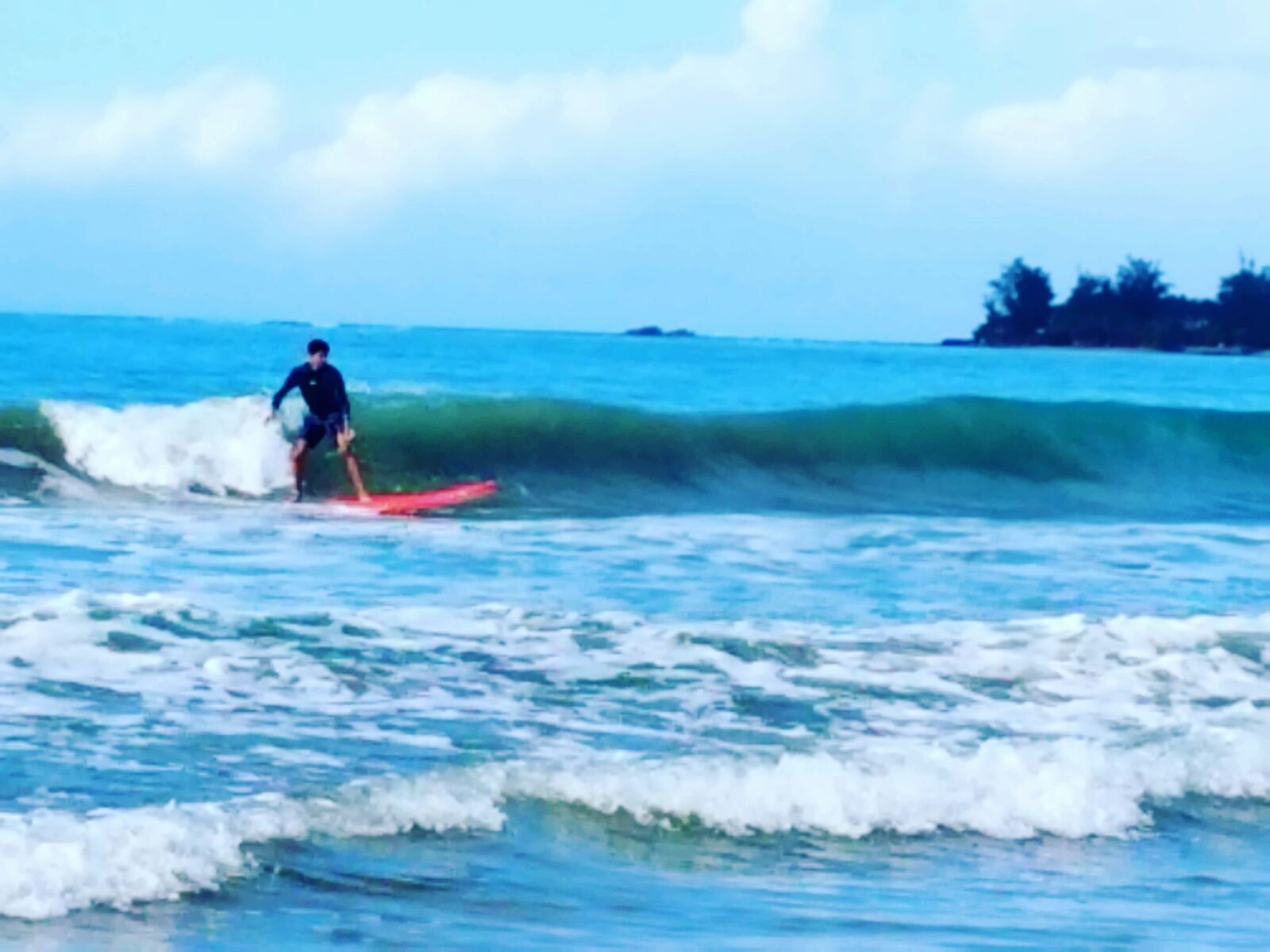 Gallery From Pine Grove