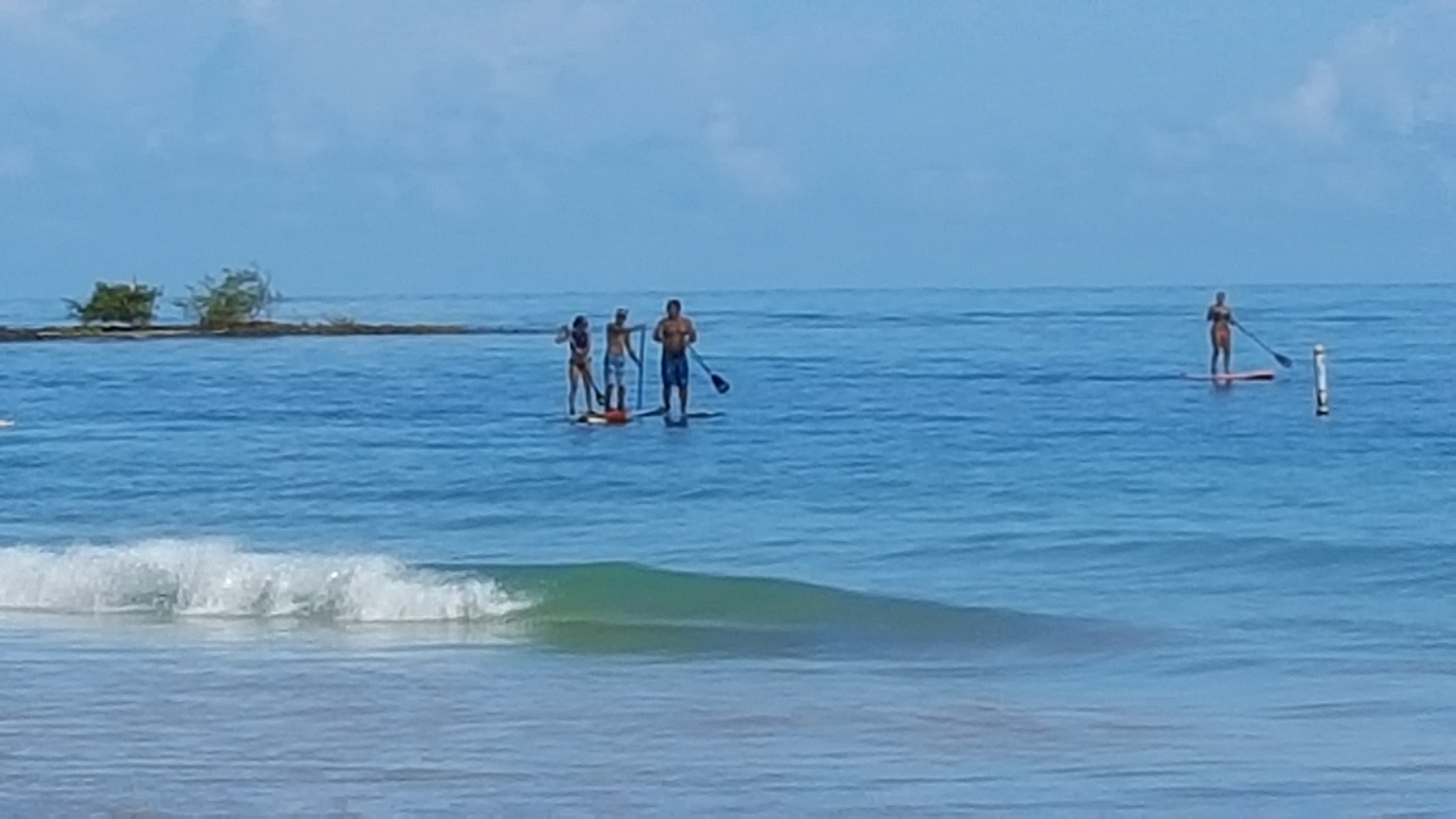 Gallery From Pine Grove