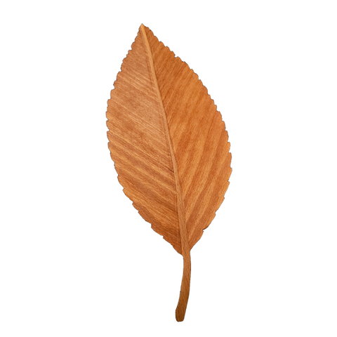 leave no background.png
