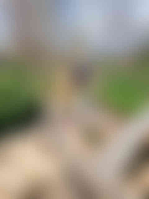 IMG-20240224-WA0010