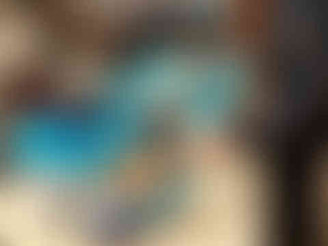 IMG-20231202-WA0011