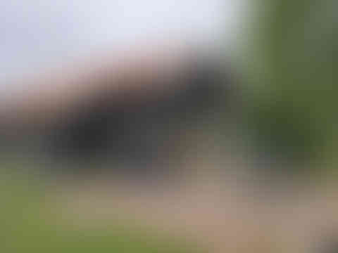 IMG-20250625-WA0007.jpg
