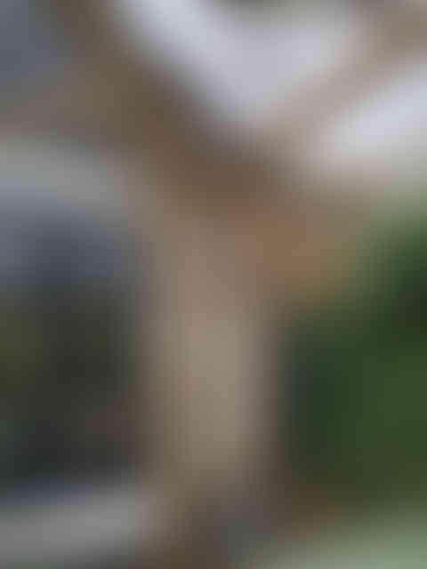 20250322_164800