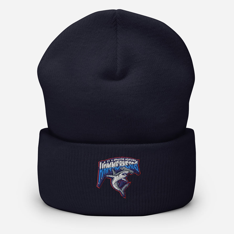 Thumbnail: BAA Success Has No Boundaries Cuffed Beanie