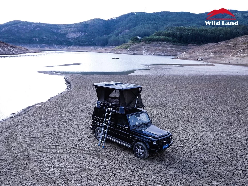 Wild-Land-Adventure-Cruiser.webp