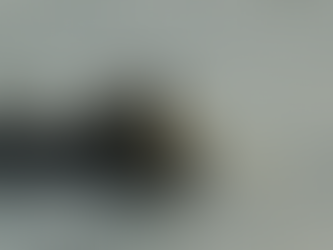 Προθεσμίες έκδοσης αδειών αλιείας