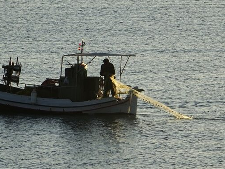 Προθεσμίες έκδοσης αδειών αλιείας