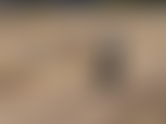 Καλλονή | Θέαμα για μικρούς και μεγάλους σε δυο τροχούς (video)