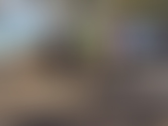 Πρωτιά στην ανταπόκριση έκτακτων καταστάσεων ο Δήμος Δυτικής Λέσβου