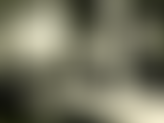 Έκθεση τέχνης «ξαναζωντανεύει» το υπεραιωνόβιο καφενείο «Πανελλήνιον» στη Μυτιλήνη