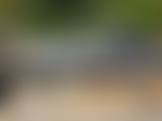 Δήμος Δυτικής Λέσβου | 85 εγκαταλελειμμένα οχήματα στην ανακύκλωση μέσα σε 2 χρόνια!