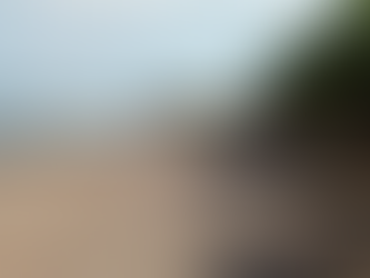 Πανέτοιμος και πεντακάθαρος ο Δήμος Δυτικής Λέσβου ενόψει καλοκαιριού!