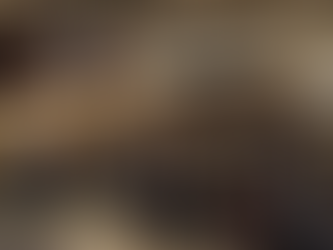 Παρουσιάστηκε το έργο των ανασκαφών σε αρχαία Άντισσα και Σκαλοχώρι σε ένα κατάμεστο θέατρο