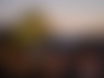 Γιορτή σαρδέλας | Ένα φεστιβάλ, όπως αρμόζει στη Λέσβο!