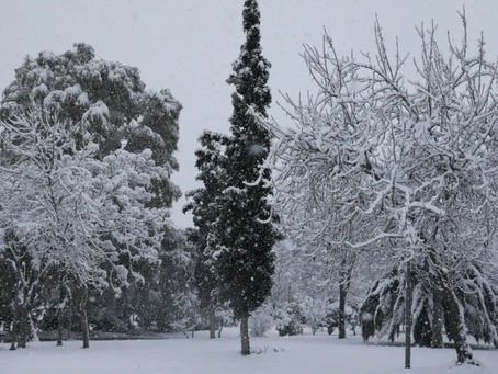 Καιρός | Σε ποια μέρη της Ελλάδας θα χιονίσει το Σαββατοκύριακο