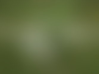 Δυτική Λέσβος: ‘Έτοιμος ο διαγωνισμός για την κατασκευή «Κατασκευή Πράσινων Σημείων»