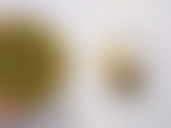 Χρυσοί Σκούφοι 2024: Αυτά είναι τα 43 εστιατόρια που βραβεύτηκαν - O κορυφαίος σεφ