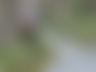 Ξεκινούν οι ψεκασμοί για τα κουνούπια στη Λέσβο