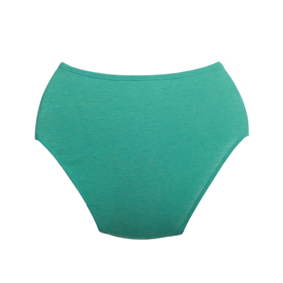 Green Turquoise Wool Brief Flat Lay Back View