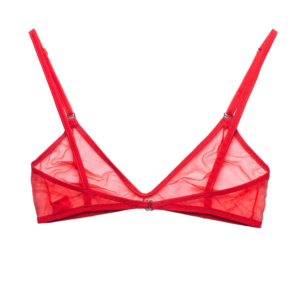 Thumbnail: RED SHEER BRALETTE