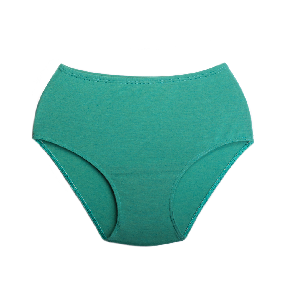 Green Turquoise Wool Brief Flat Lay Front View