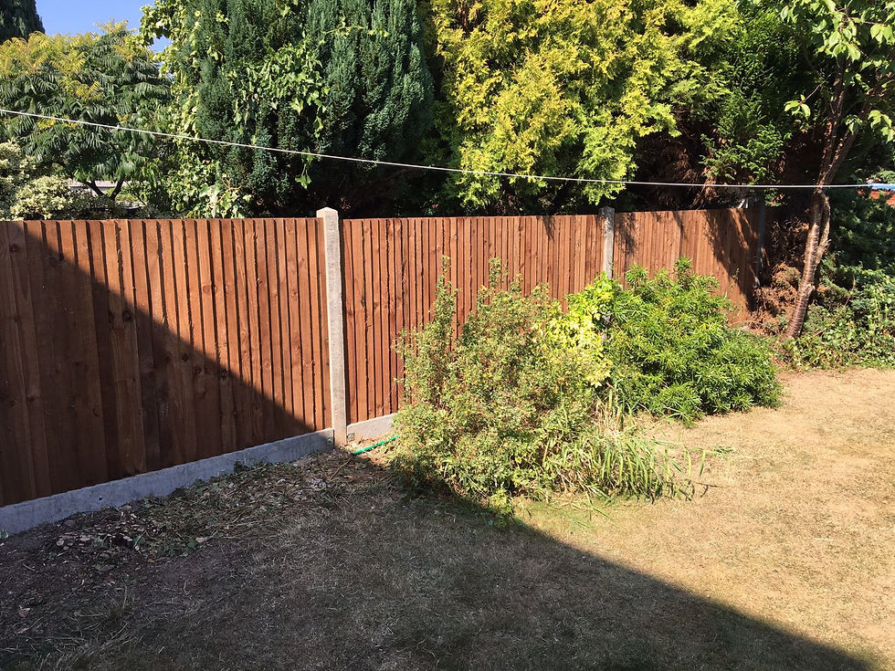 5ft featheredge fence