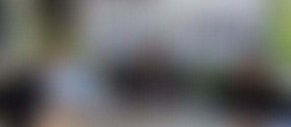 ¡¡BUSCARÉ REELEGIRME COMO DIPUTADA!!: CECILIA COVARRUBIAS