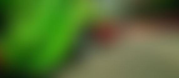 ¡¡TAMBIÉN SON CAFRES LOS NUEVOS RECOLECTORES EN LOS MOCHIS!!