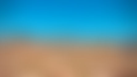 ¡¡AHOME: EN FOSA CLANDESTINA HALLAN CUERPOS DE 2 HOMBRES!!