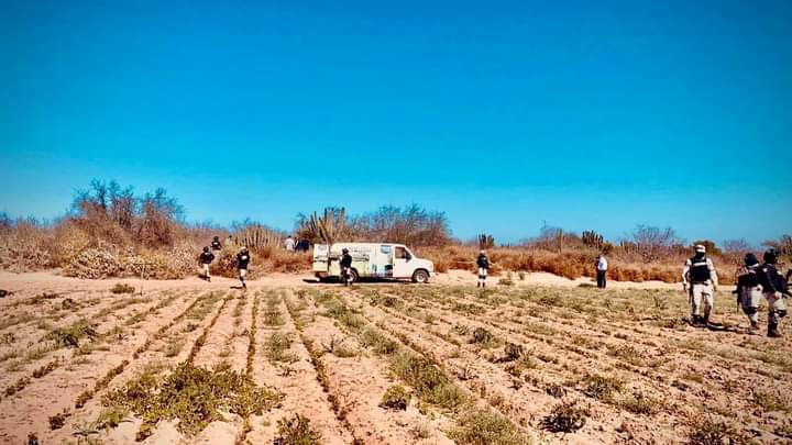 ¡¡AHOME: EN FOSA CLANDESTINA HALLAN CUERPOS DE 2 HOMBRES!!