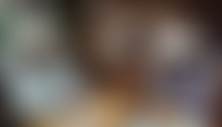 ¡¡PLEITAZO POR EL CONSEJO POLÍTICO DEL PRI EN MOCORITO!!