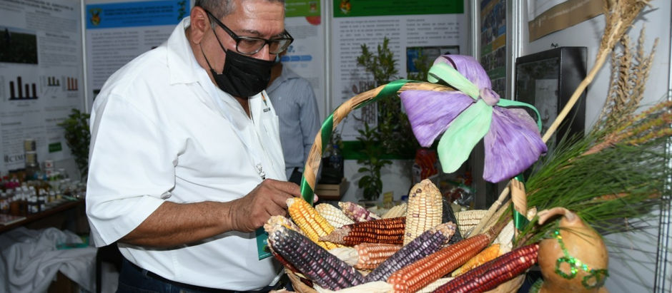 La Facultad de Agronomía de la UAS, en la mejor disposición de participar en la Expo Agro Sinaloa 2025, mostrando sus proyectos e investigaciones