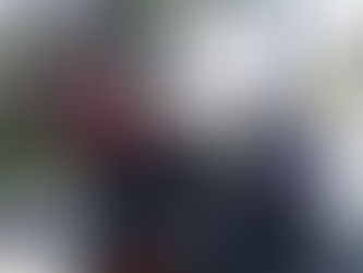 ¡¡RESULTADO ELECTORAL DE HIDALGO Y COAHUILA PREOCUPA A MORENA-SINALOA!!