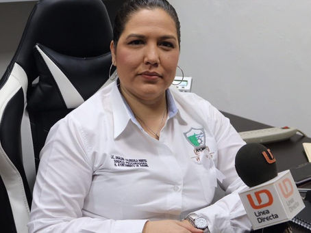 ¡¡UNA GAMER ES LA SILLA DE LA SINDICA PROCURADORA DE AHOME!!