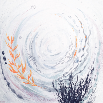 Submerged pools - gaze into rockpools and explore the marine world!