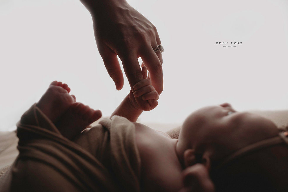 127877009_830912681033032_7065543741186145422_n