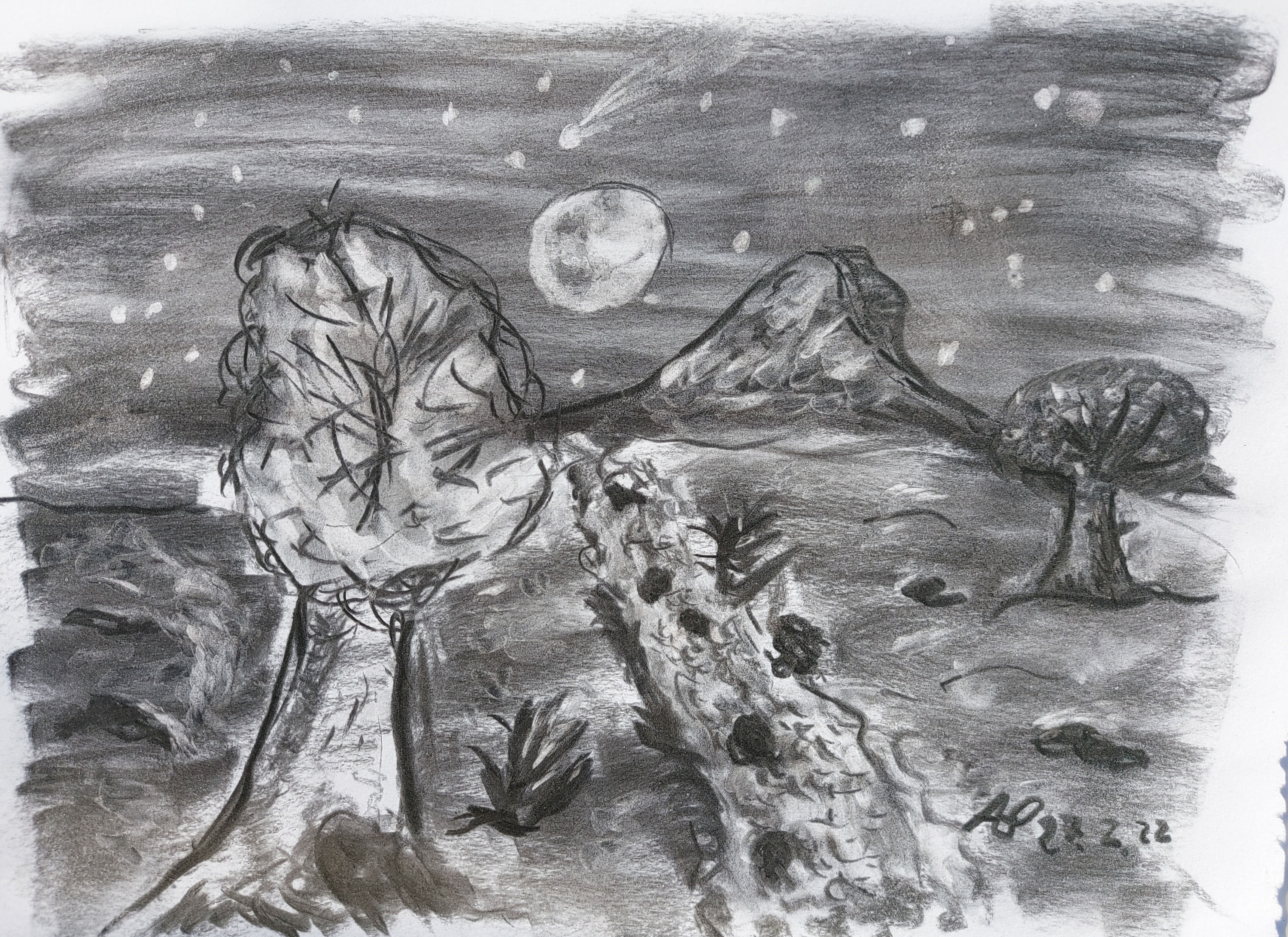 Faltkarte Sternenlandschaft