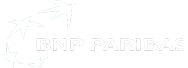 685960972c67510b502b2bb8_BNP.png