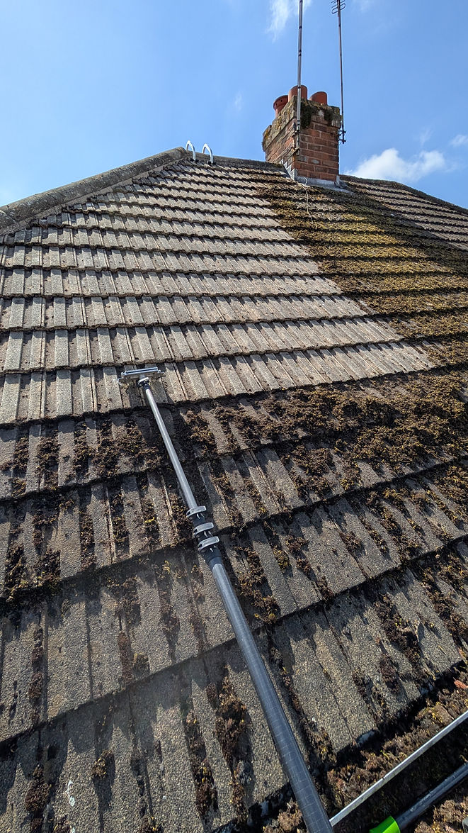roof_scrape_moss_removal.jpg