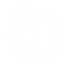 Vector Art01 (7).png