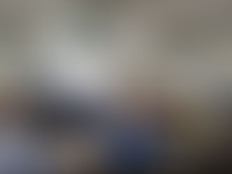 Reunión Mensual - Noviembre